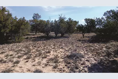 8.96 Acres N7407 -- #382,38, Sanders, AZ 86512 - Photo 1