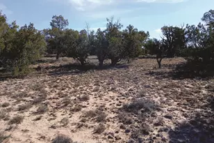8 96 Acres N7407 --, Sanders, AZ 86512 - Photo 1