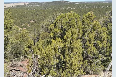 Lot 80 Ranch Road #80, Vernon, AZ 85940 - Photo 1