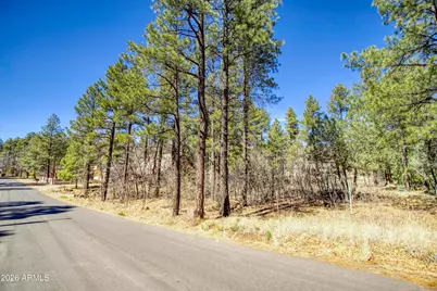 1036 W Apache Lane #118, Lakeside, AZ 85929 - Photo 1