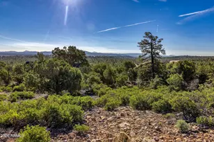 1611 S Canyon Ridge Trail, Show Low, AZ 85901 - Photo 1