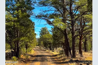 11 Co Rd N3262 5 Acres -- #-, Vernon, AZ 85940 - Photo 1
