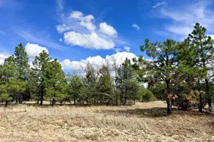 7112 Horizon Cir, Happy Jack, AZ 86024 - Photo 1