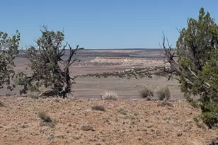 Lot 96 Bonito Valley Ranch --, Saint Johns, AZ 85936 - Photo 1