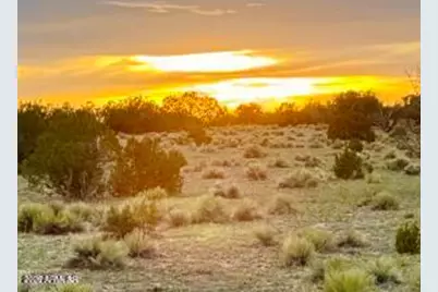 Tbd Co Rd N6659 36.25 Acres -- #-, Saint Johns, AZ 85936 - Photo 1
