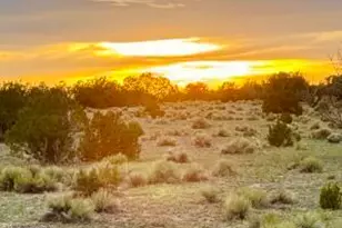 Tbd Co Rd N6659 36 25 Acres --, Saint Johns, AZ 85936 - Photo 1
