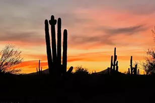 33633 N 84th St, Scottsdale, AZ 85266 - Photo 68