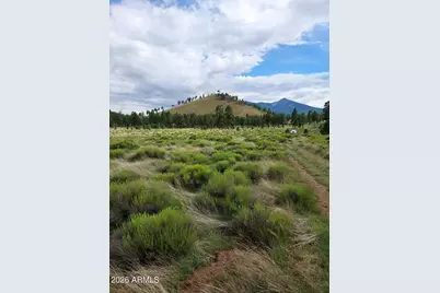 21 Fun Valley Road #21, Flagstaff, AZ 86001 - Photo 1