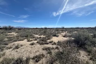 40 Acres Calle California --, Cochise, AZ 85606 - Photo 1