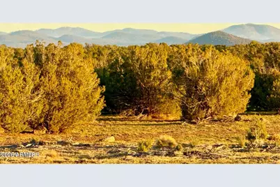 9023 Appaloosa Trl Lot B, 5 Acres -- #-, Show Low, AZ 85901 - Photo 1