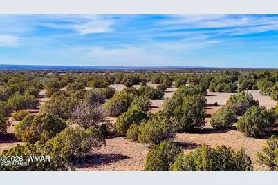 9023 Appaloosa Trl Lot C, 10 Acres -- #-, Show Low, AZ 85901 - Photo 6