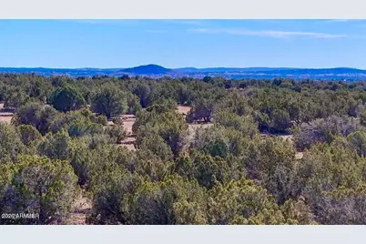 9023 Appaloosa Trl Lot C, 10 Acres -- #-, Show Low, AZ 85901 - Photo 2