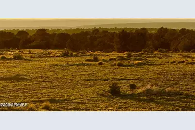 9023 Appaloosa Trl Lot C, 10 Acres -- #-, Show Low, AZ 85901 - Photo 18