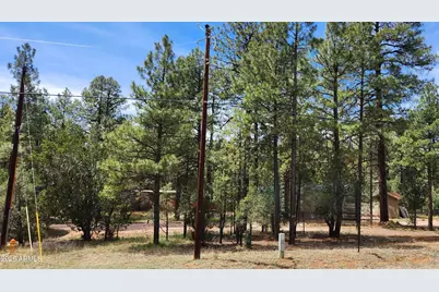 2890 Pine Rim Road #-, Overgaard, AZ 85933 - Photo 1
