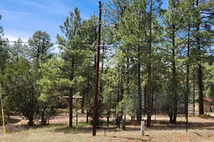 2890 Pine Rim Rd, Overgaard, AZ 85933 - Photo 1