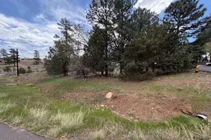 261 S 1st Dr, Show Low, AZ 85901 - Photo 1