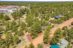2860 Wildcat Trail, Overgaard, AZ 85933 - Photo 32