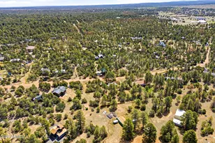2860 Wildcat Trail, Overgaard, AZ 85933 - Photo 36