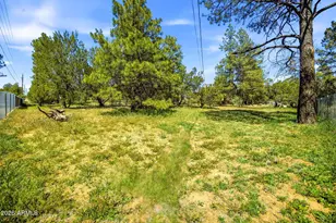2860 Wildcat Trail, Overgaard, AZ 85933 - Photo 28