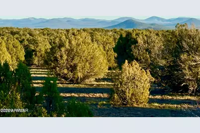 9023 Appaloosa Trl Lot E, 10 Acres -- #-, Show Low, AZ 85901 - Photo 1
