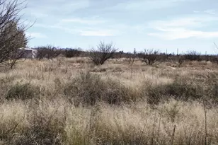 5 52 Acres E Chaco Ln, Hereford, AZ 85615 - Photo 1