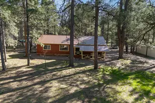 668 Mule Springs Trail, Forest Lakes, AZ 85931 - Photo 1