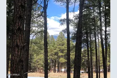 9410 Coyote Pass #-, Flagstaff, AZ 86001 - Photo 1
