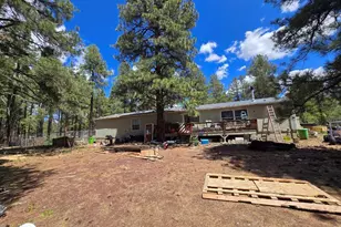 196 N Spitz Spring Rd, Parks, AZ 86018 - Photo 12