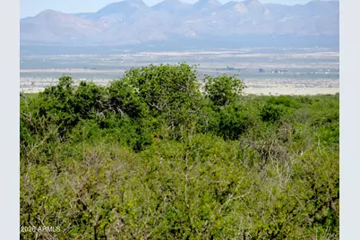 Tbd N Last Trail #55, Elfrida, AZ 85610 - Photo 1