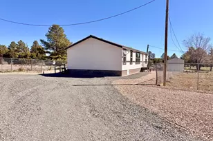 2122 Meadow Ln, Overgaard, AZ 85933 - Photo 1
