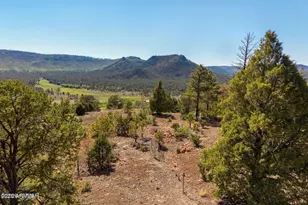 N2280 Noble Mountain Est --, Nutrioso, AZ 85932 - Photo 1