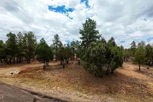 4935 Starlight Dr, Happy Jack, AZ 86024 - Photo 30
