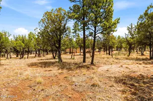 4935 Starlight Dr, Happy Jack, AZ 86024 - Photo 10