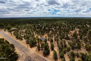 4935 Starlight Dr, Happy Jack, AZ 86024 - Photo 34