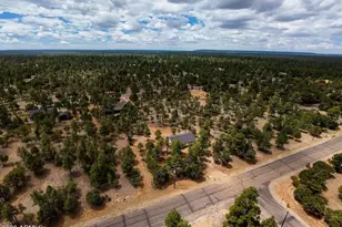 4935 Starlight Dr, Happy Jack, AZ 86024 - Photo 36