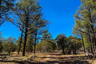 11 Co Rd 3262 5 Acres --, Vernon, AZ 85940 - Photo 1