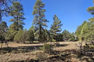 2236 Moccasin Dr, Overgaard, AZ 85933 - Photo 1