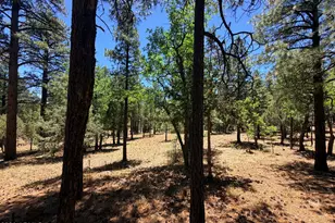 4215 Apache Dr, Happy Jack, AZ 86024 - Photo 1