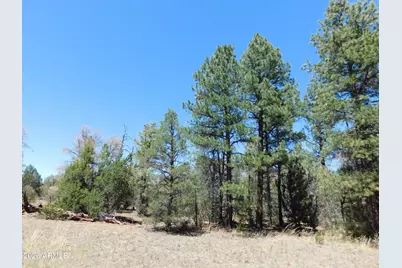 3100 Pinewood Drive #083B, Overgaard, AZ 85933 - Photo 1