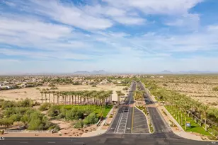 3969 N 301st Cir, Buckeye, AZ 85396 - Photo 88