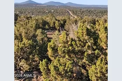 690 Cr 8235 Drive, Concho, AZ 85924 - Photo 8
