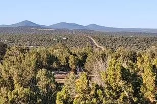 690 Cr 8235 Dr, Concho, AZ 85924 - Photo 8