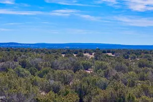 9023 Appaloosa Trail Lots C & E --, Show Low, AZ 85901 - Photo 1