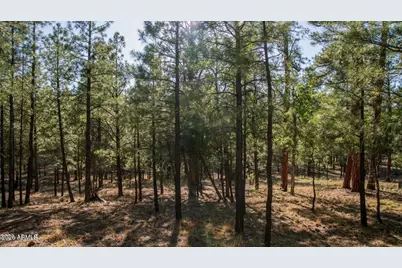 2535 Woody Pine Drive #87, Happy Jack, AZ 86024 - Photo 1