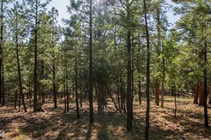 2535 Woody Pine Dr, Happy Jack, AZ 86024 - Photo 1
