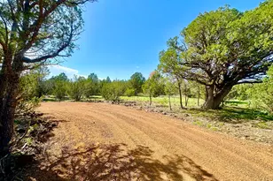 18 N3573, Vernon, AZ 85940 - Photo 1