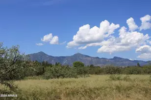 026E E Coyote Trail, Hereford, AZ 85615 - Photo 1