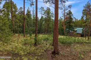 8 County Road 2070 --, Alpine, AZ 85920 - Photo 1