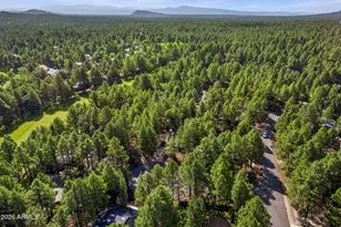 4237 Clear Sky Cir, Pinetop, AZ 85935 - Photo 4