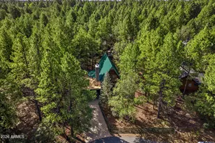 4237 Clear Sky Cir, Pinetop, AZ 85935 - Photo 34
